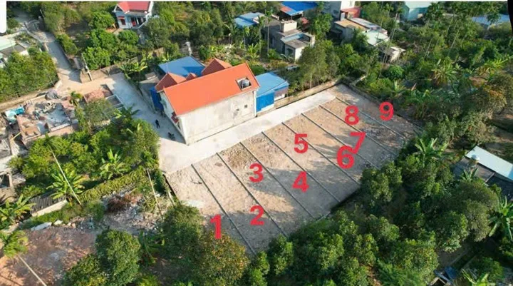 Bất động sản tại Hải Phòng - ảnh 1
