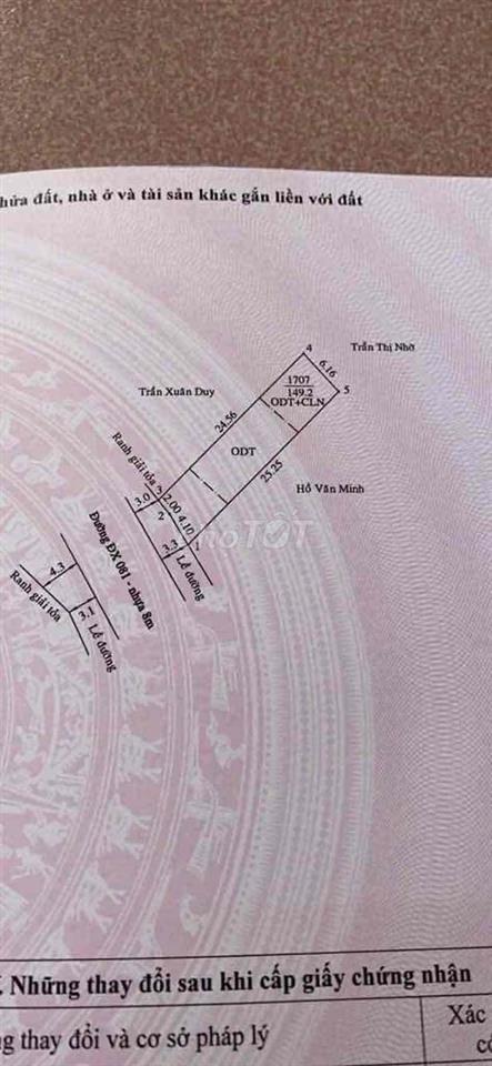 Bất động sản tại Bình Dương - ảnh 1