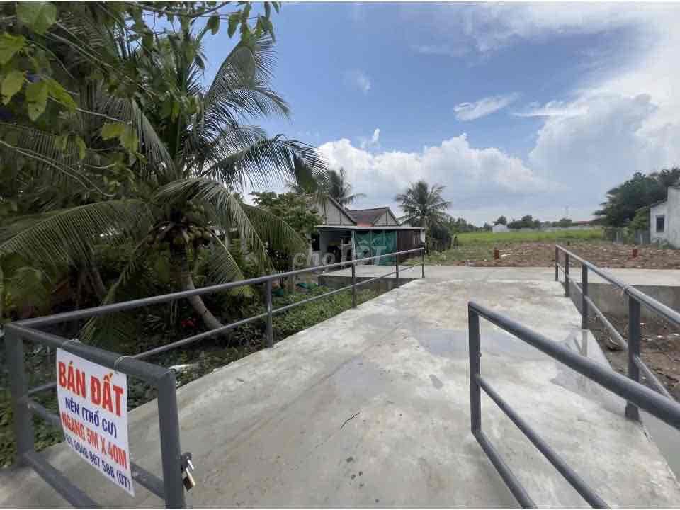 Bất động sản tại Long An - ảnh 1