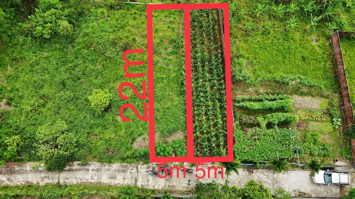 Bất động sản tại Quảng Ngãi - ảnh 1