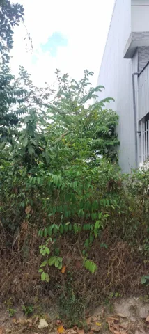 Bất động sản tại Quảng Ngãi - ảnh 1