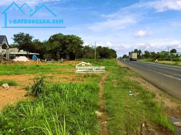 Bất động sản tại Bình Phước - ảnh 1