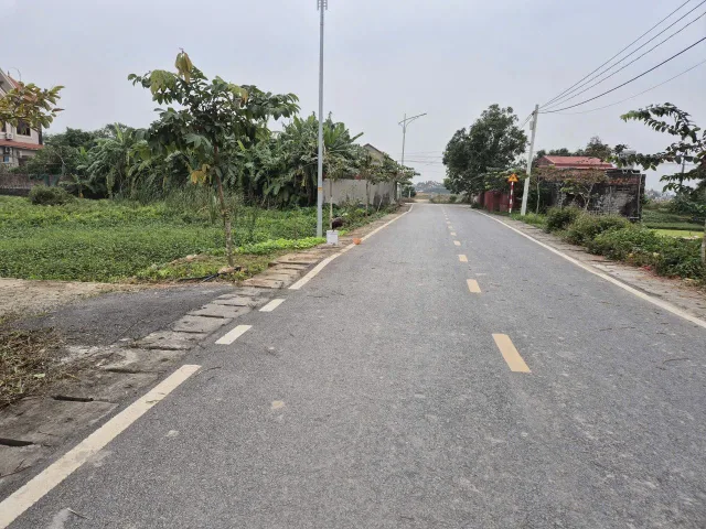 Bất động sản tại Hải Phòng - ảnh 1