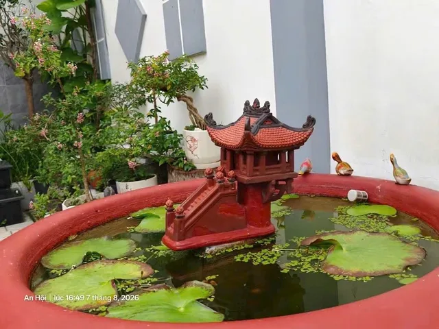 Bất động sản tại Vĩnh Long - ảnh 1