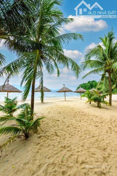 Bất động sản tại Đà Nẵng - ảnh 1