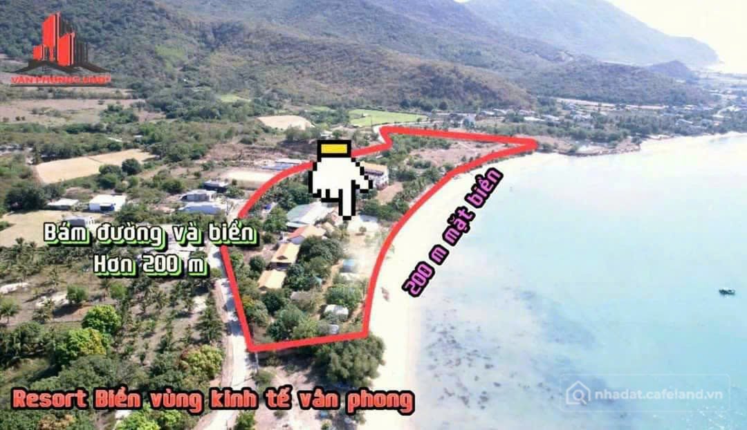 Bất động sản tại Khánh Hòa - ảnh 1