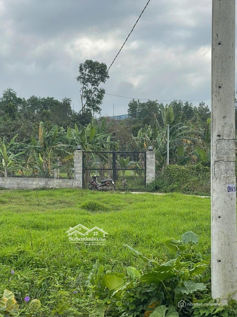 Bất động sản tại Đà Nẵng - ảnh 1