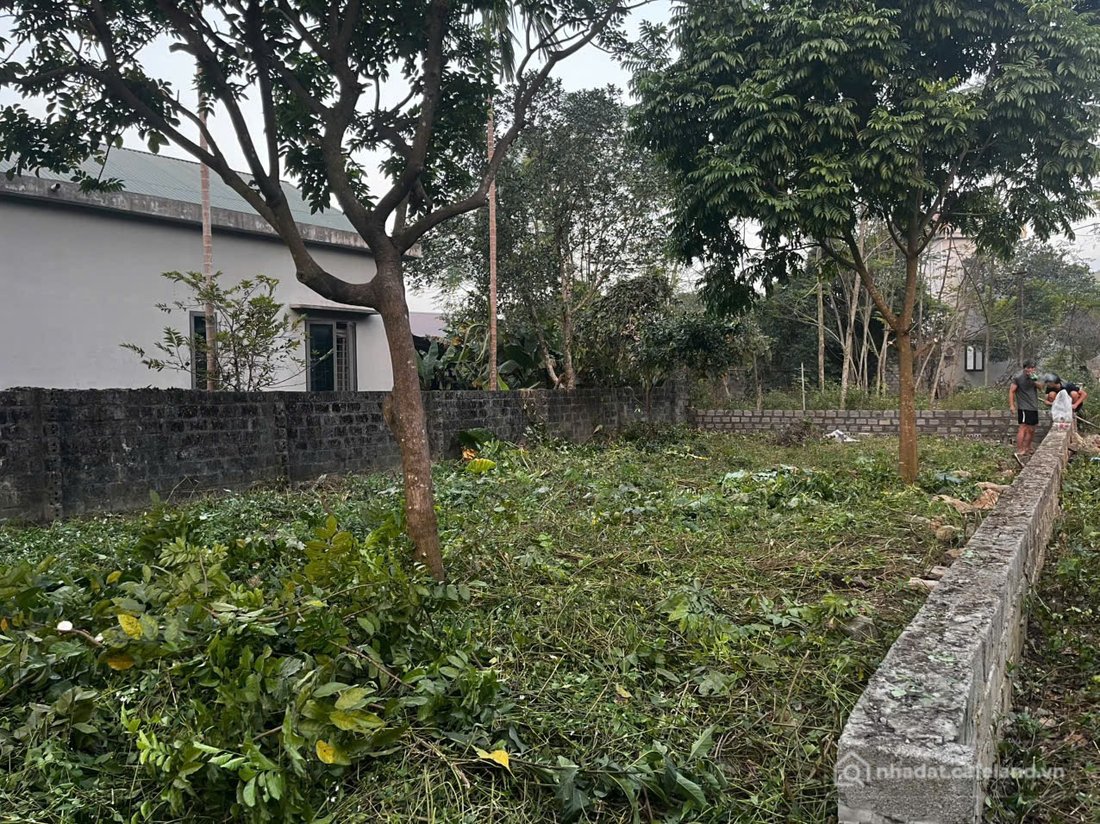Bất động sản tại Phú Thọ - ảnh 1