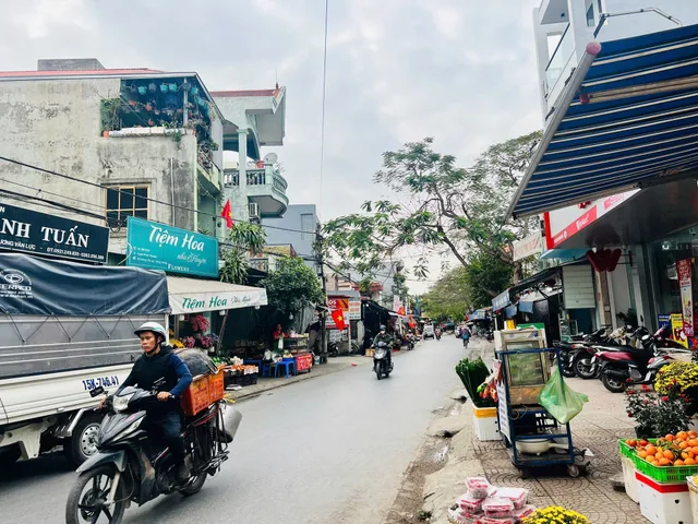 Bất động sản tại Hải Phòng - ảnh 1