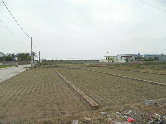 Bất động sản tại Nam Định - ảnh 1