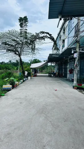 Bất động sản tại Tây Ninh - ảnh 1