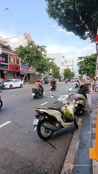 Bất động sản tại Lâm Đồng - ảnh 1