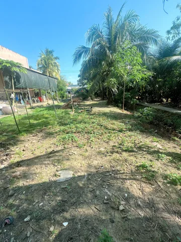 Bất động sản tại Vĩnh Long - ảnh 1