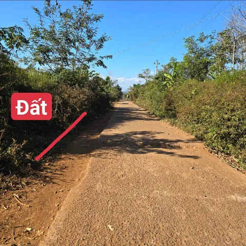 Bất động sản tại Đắk Lắk - ảnh 1