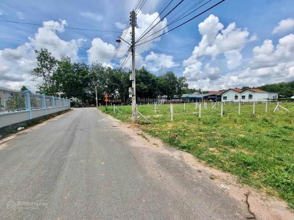 Bất động sản tại Bình Dương - ảnh 1