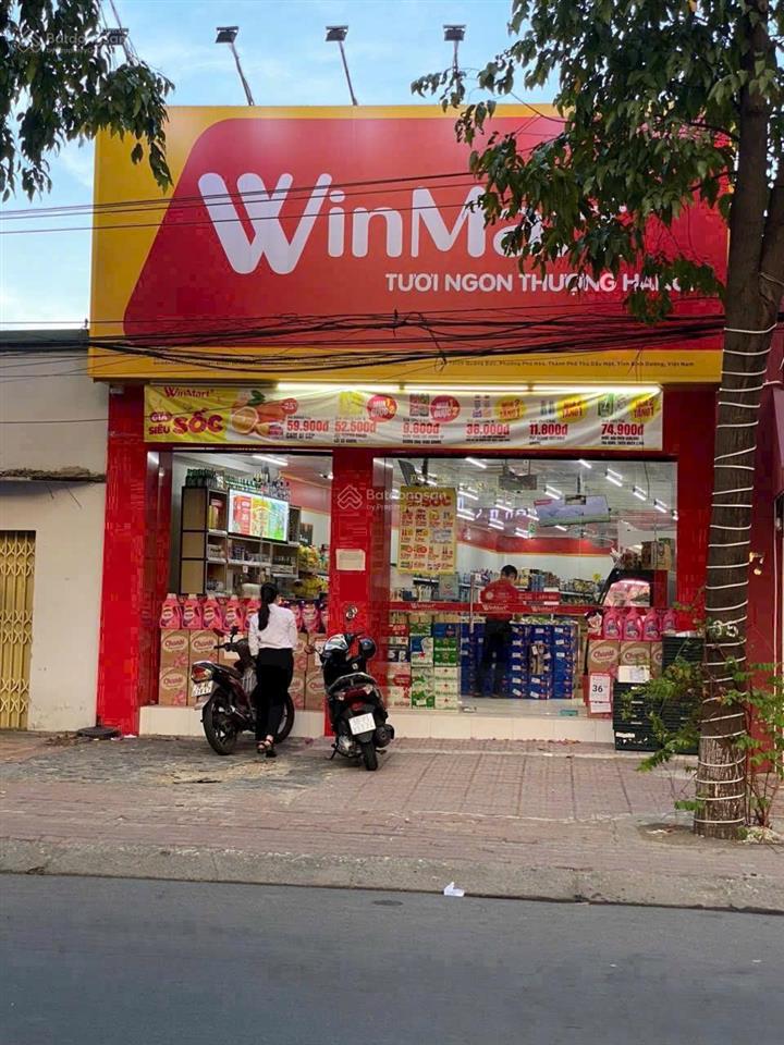 Bất động sản tại Bình Dương - ảnh 1