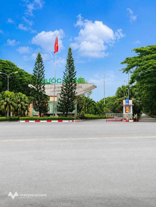 Bất động sản tại Tây Ninh - ảnh 1