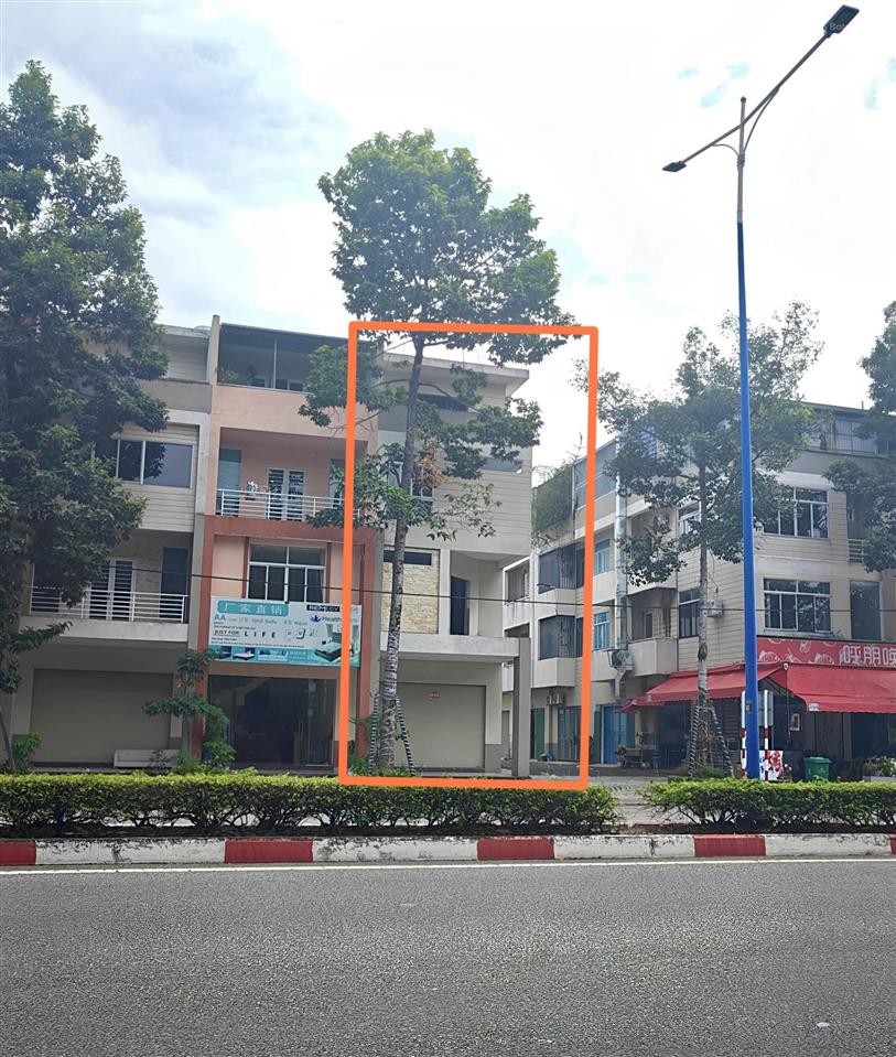 Bất động sản tại Bình Dương - ảnh 1