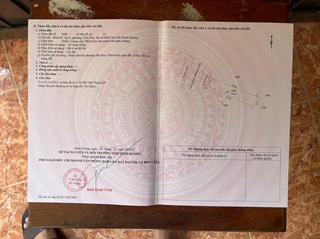 Bất động sản tại Bình Dương - ảnh 1
