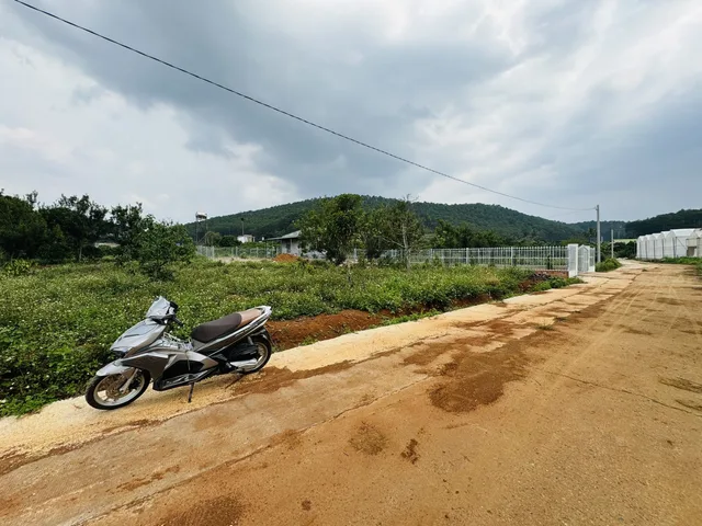 Bất động sản tại Lâm Đồng - ảnh 1