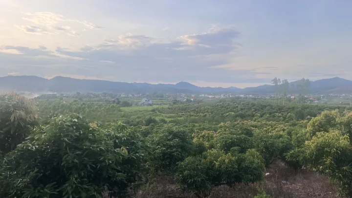 Bất động sản tại Bắc Ninh - ảnh 1