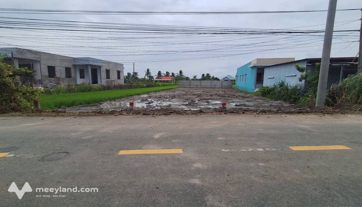 Bất động sản tại Long An - ảnh 1