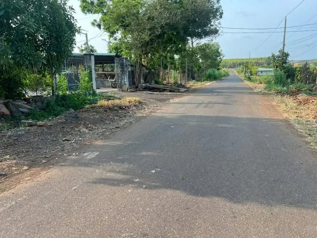 Bất động sản tại Bình Dương - ảnh 1