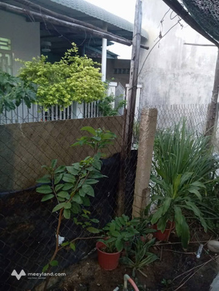 Bất động sản tại Ninh Thuận - ảnh 1