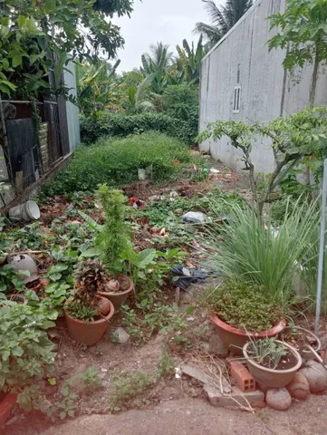 Bất động sản tại Bình Dương - ảnh 1
