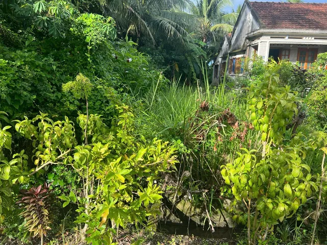 Bất động sản tại Khánh Hòa - ảnh 1