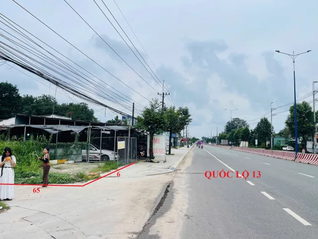 Bất động sản tại Bình Dương - ảnh 1