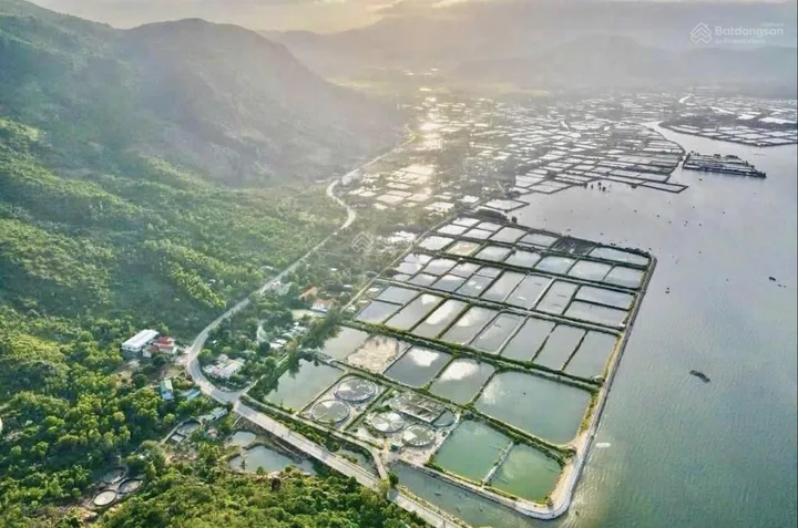 Bất động sản tại Khánh Hòa - ảnh 1