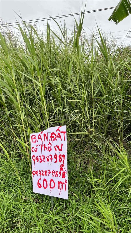 Bất động sản tại Bạc Liêu - ảnh 1