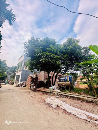 Bất động sản tại Phú Thọ - ảnh 1