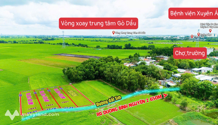 Bất động sản tại Tây Ninh - ảnh 1