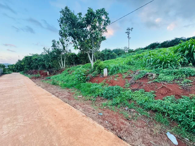 Bất động sản tại Lâm Đồng - ảnh 1