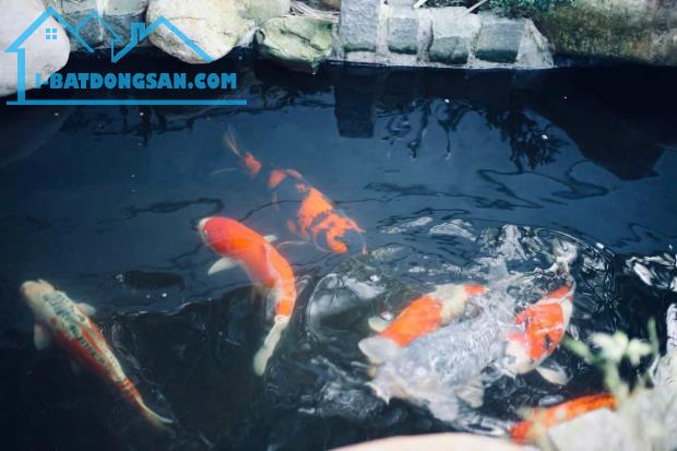 Bất động sản tại Đà Nẵng - ảnh 1