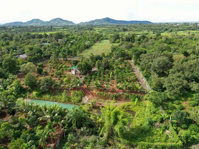 Bất động sản tại Đắk Lắk - ảnh 1