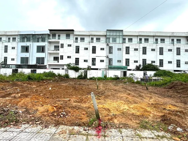 Bất động sản tại Đà Nẵng - ảnh 1