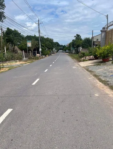 Bất động sản tại Bình Dương - ảnh 1