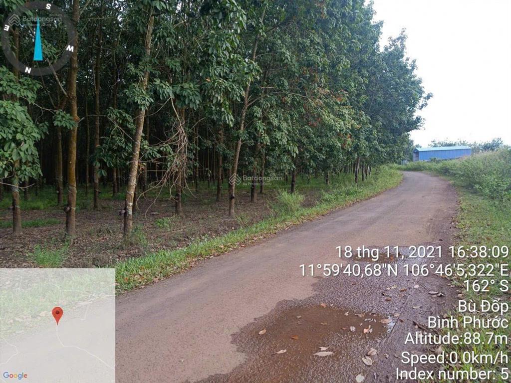 Bất động sản tại Bình Phước - ảnh 1
