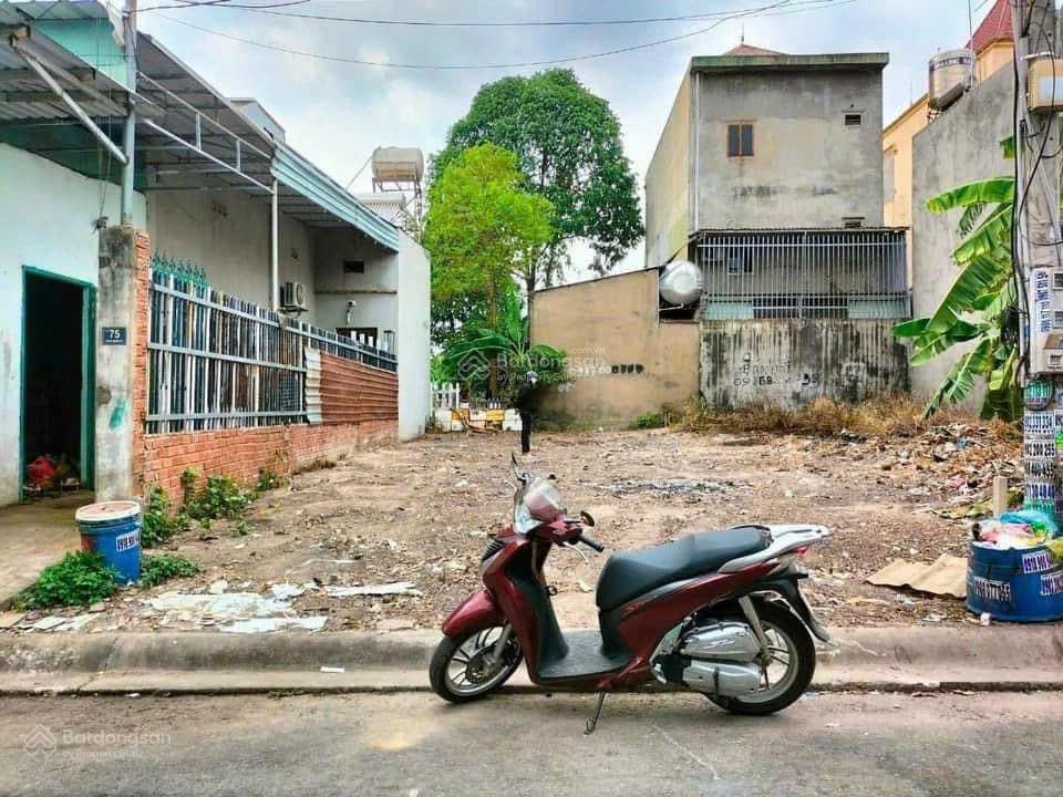 Bất động sản tại Bình Dương - ảnh 1