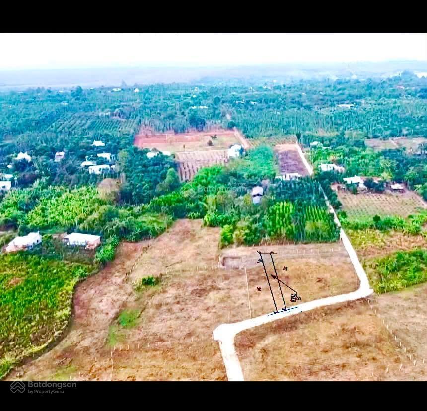 Bất động sản tại Bà Rịa - Vũng Tàu - ảnh 1