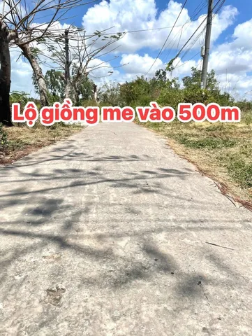 Bất động sản tại Cà Mau - ảnh 1