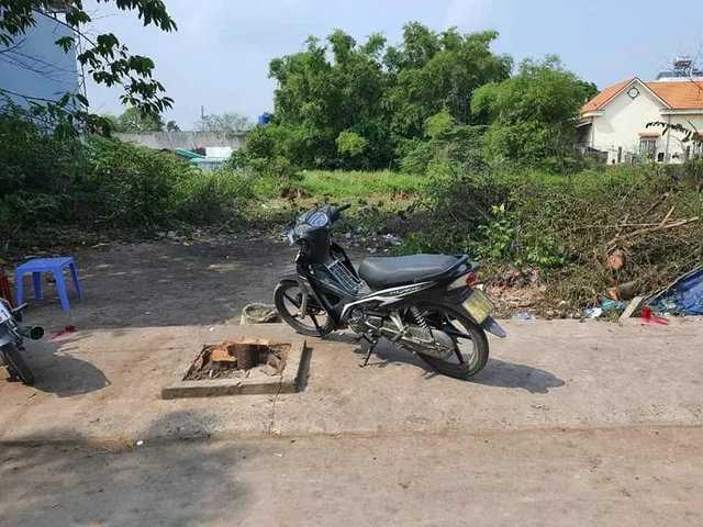Bất động sản tại Long An - ảnh 1