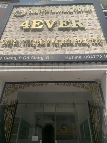 Bất động sản tại TP. Hồ Chí Minh - ảnh 1