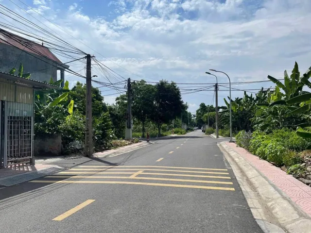 Bất động sản tại Hải Phòng - ảnh 1