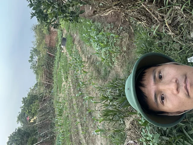 Bất động sản tại Bắc Ninh - ảnh 1