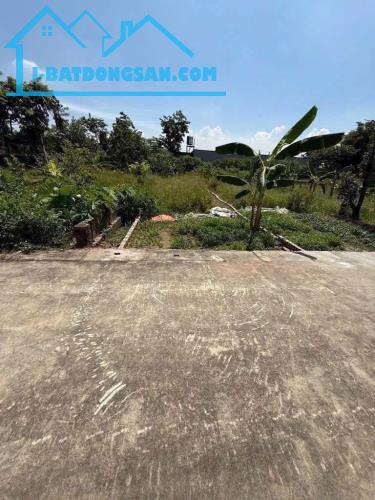 Bất động sản tại Bắc Ninh - ảnh 1