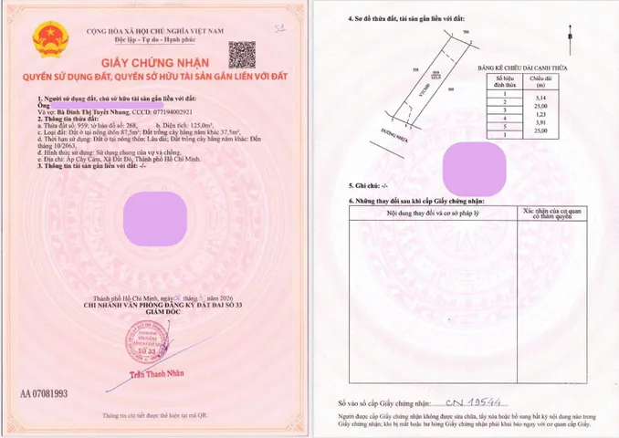 Bất động sản tại Bà Rịa - Vũng Tàu - ảnh 1